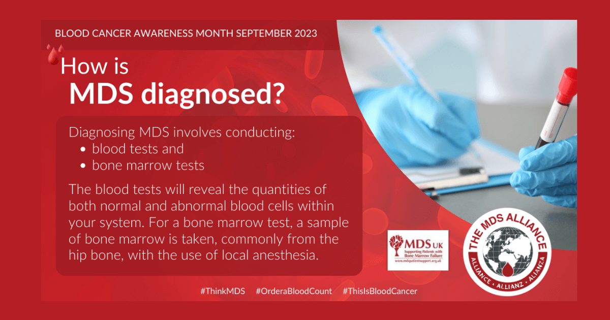 September 2023 Is Blood Cancer Awareness Month MDS UK Patient Support 